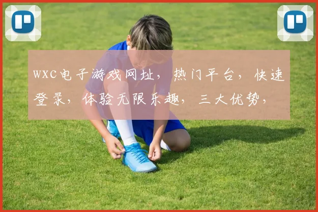 wxc电子游戏网址，热门平台，快速登录，体验无限乐趣，三大优势，一网打尽