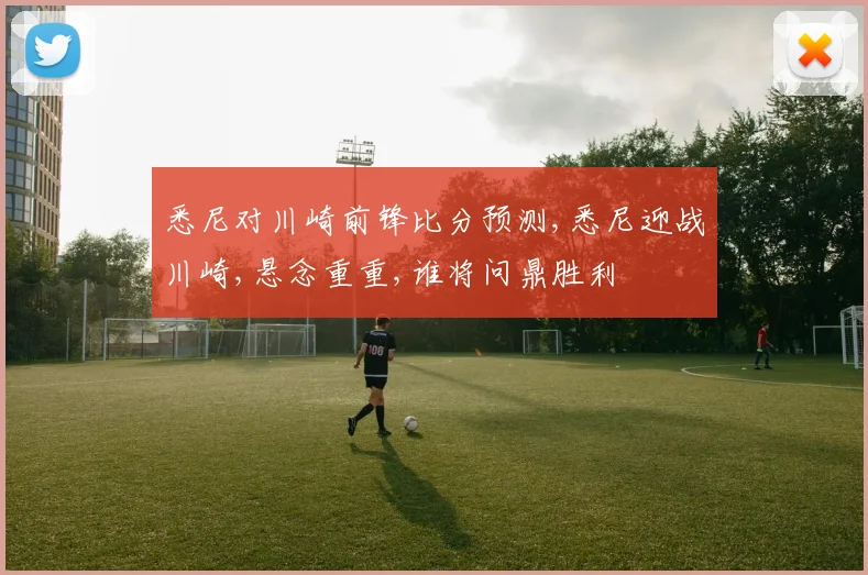 悉尼对川崎前锋比分预测,悉尼迎战川崎,悬念重重,谁将问鼎胜利