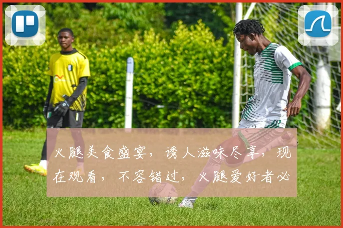 火腿美食盛宴，诱人滋味尽享，现在观看，不容错过，火腿爱好者必看