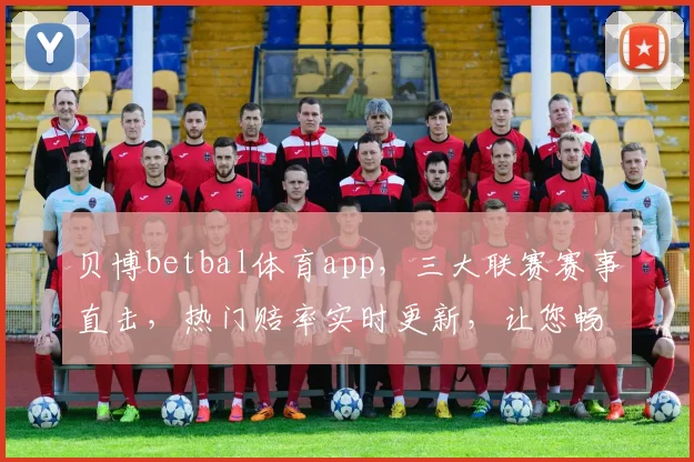 贝博betbal体育app，三大联赛赛事直击，热门赔率实时更新，让您畅享运动激情，赢球更易