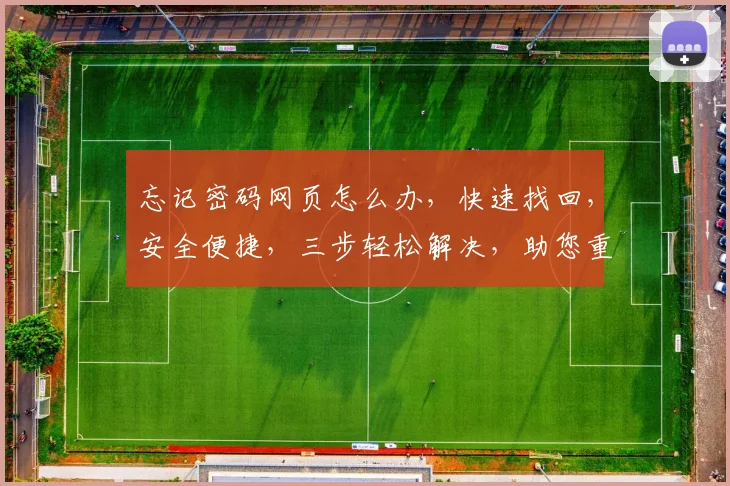 忘记密码网页怎么办，快速找回，安全便捷，三步轻松解决，助您重拾账号